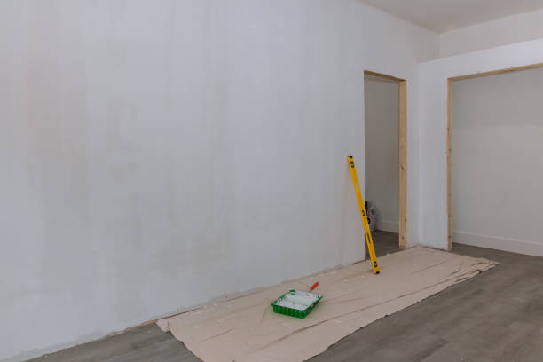 Best Commercial Painting  in Remsen, IA