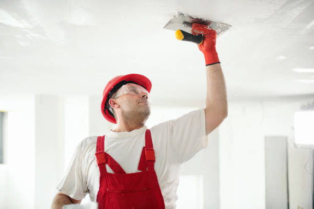 Best Drywall Sanding and Smoothing  in Remsen, IA