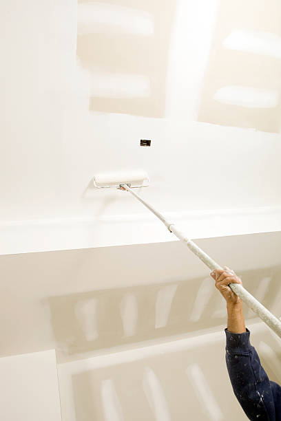 Trusted Remsen, IA Dry wall and painting Experts